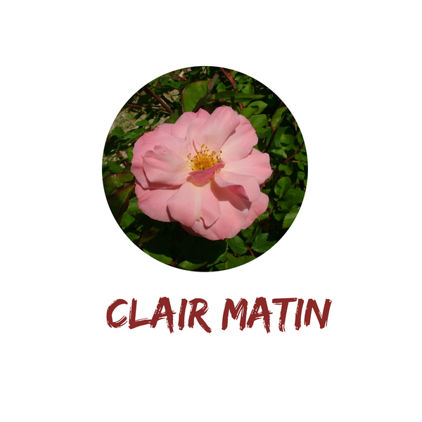 Clair Matin