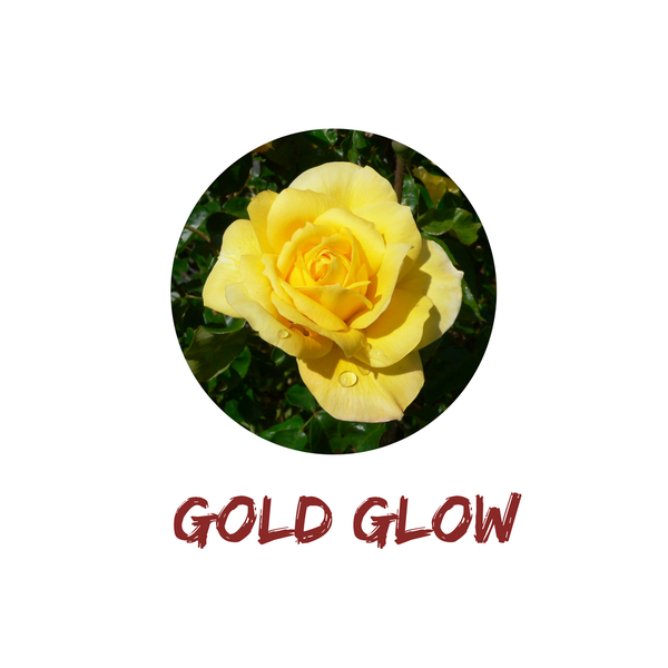 Gold Glow
