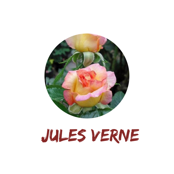 Jules Verne