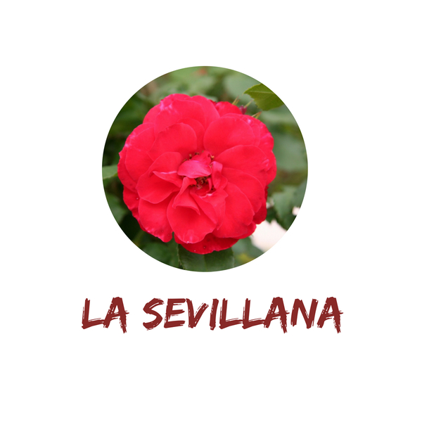 La sevillana