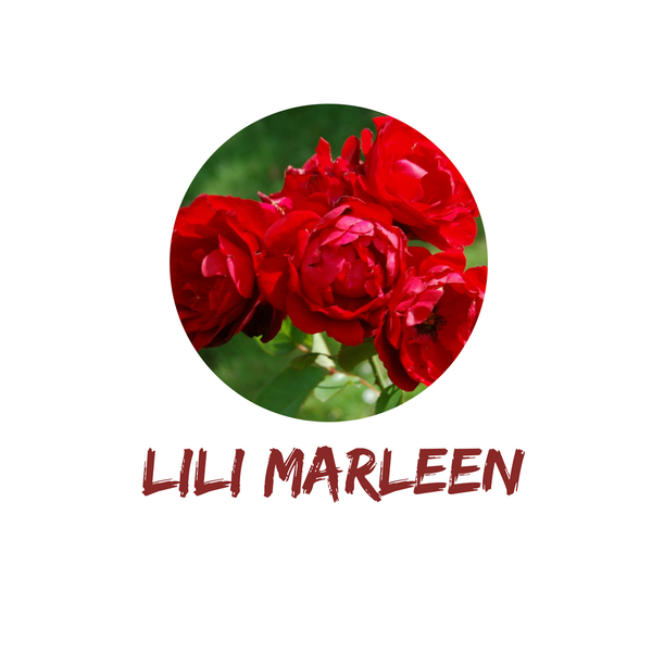 Lili Marleen