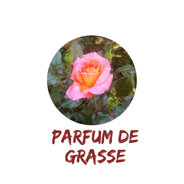 Parfum de Grasse