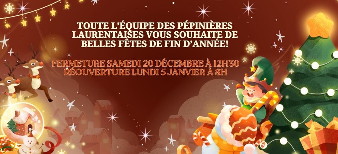 AFFICHE NOEL (3).JPG