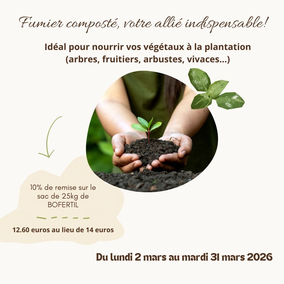 Beige et Vert Minimaliste Collage Blog Potager Jardin Publication Instagram