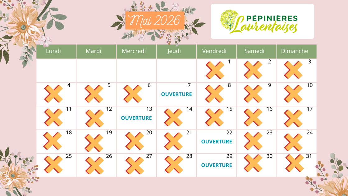 Calendrier Couleur Fleurs Mai vert violet orange marron (1)