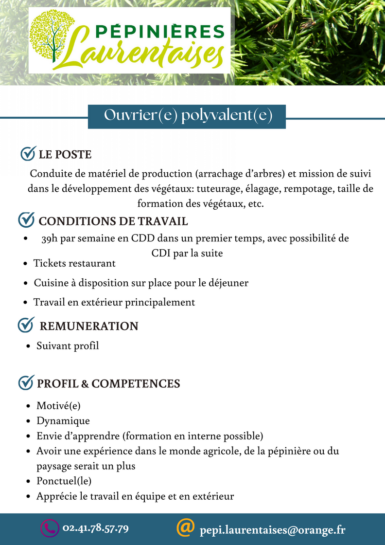 Flyer Promotion Voyage Photos Moderne Minimaliste Blanc Bleu (2)