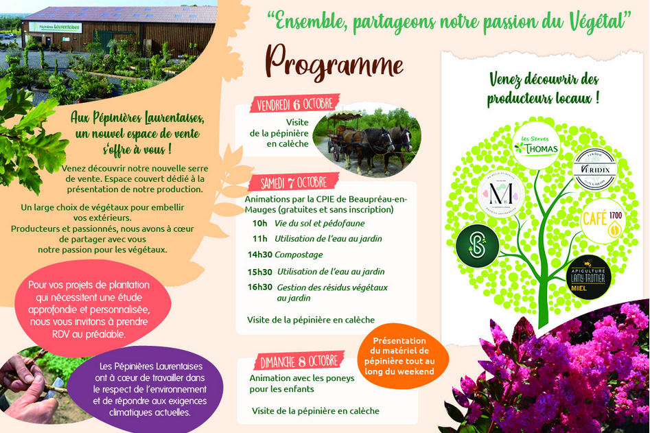 FLYER SITE 2.PNG