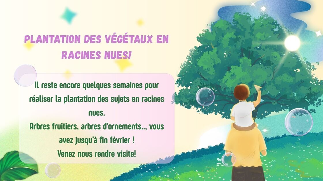 Plantation des végétaux en racines nues (1)
