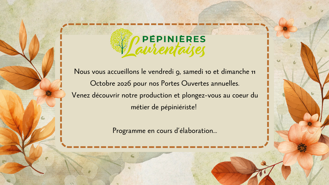 Plantation des végétaux en racines nues